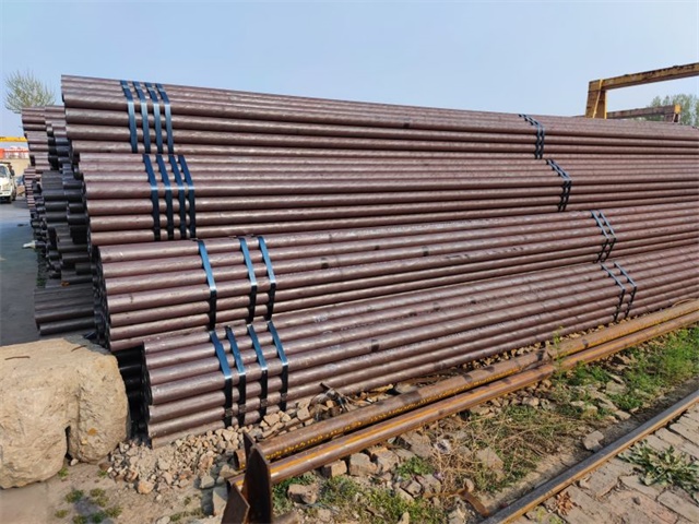 IMG_20230401_160451.jpg IMG_20230401_160451.jpg